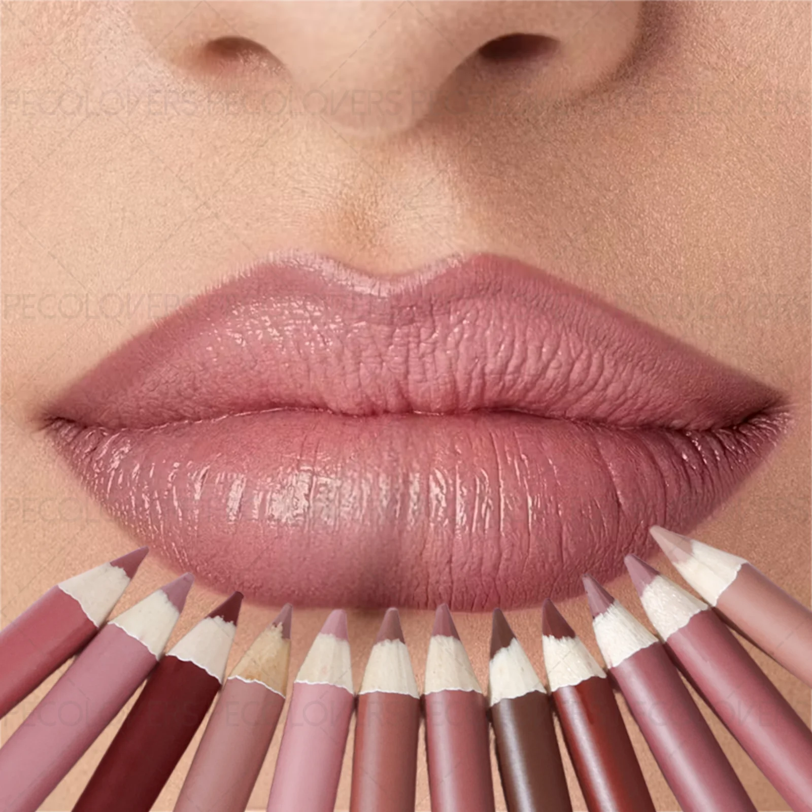 1PC Matte Lip Liner - Pencil F - Lip Liner Pencil のレビューと価格