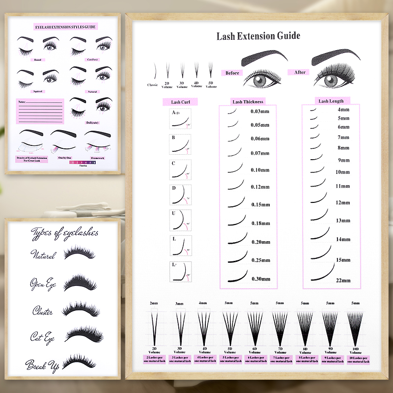 Lash Extensions Guide Poster P - Beauty Makeup Pictures のレビューと価格
